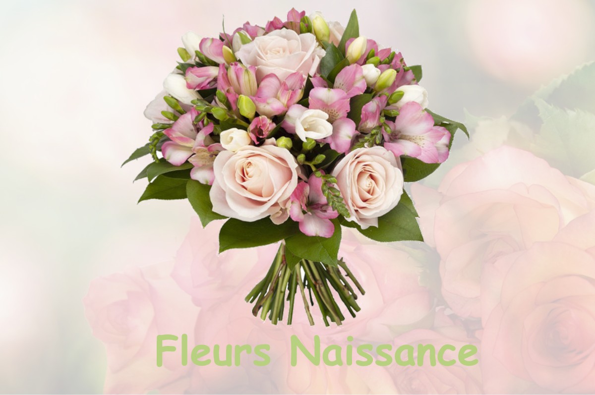 fleurs naissance MOISSEY