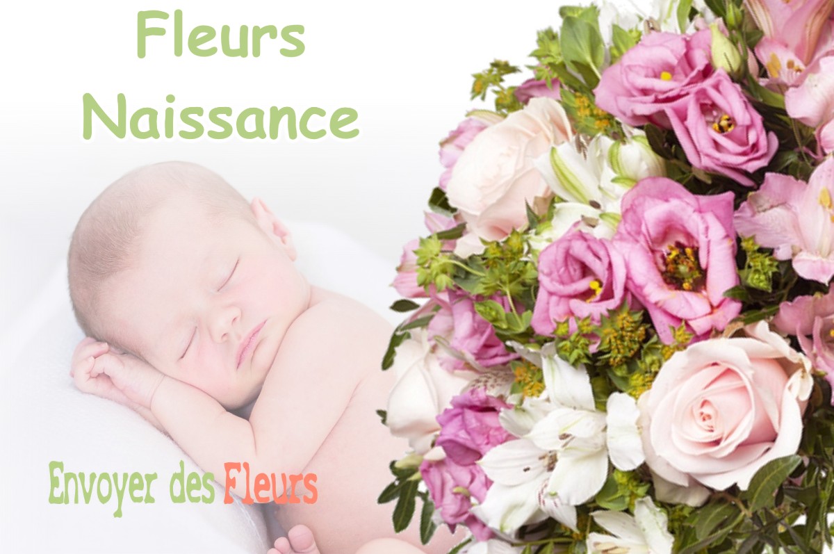 lIVRAISON FLEURS NAISSANCE à MOISSEY